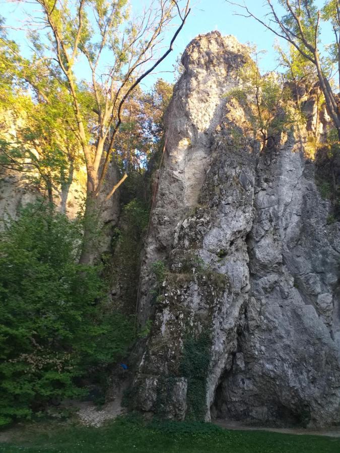 Galeria Villa Veszprém Eksteriør bilde